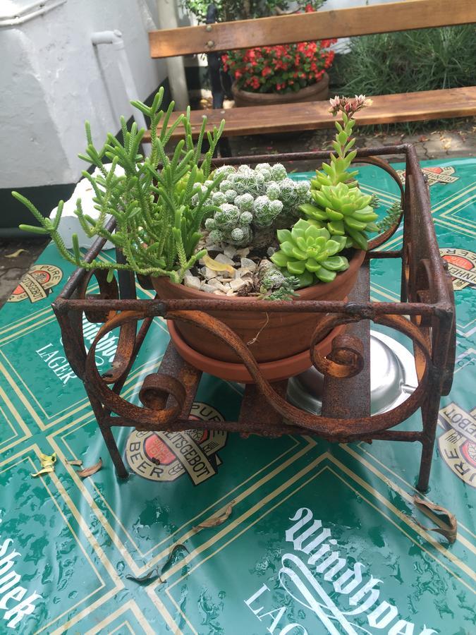 Horse And Mill Guesthouse 콜스버그 외부 사진